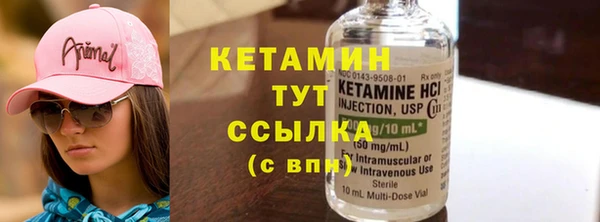 сатива Кадников