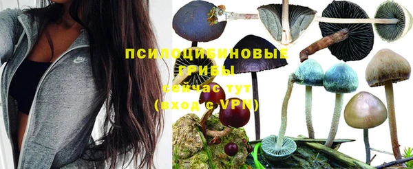 кокаин перу Белокуриха