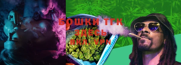 мдпв Богородск